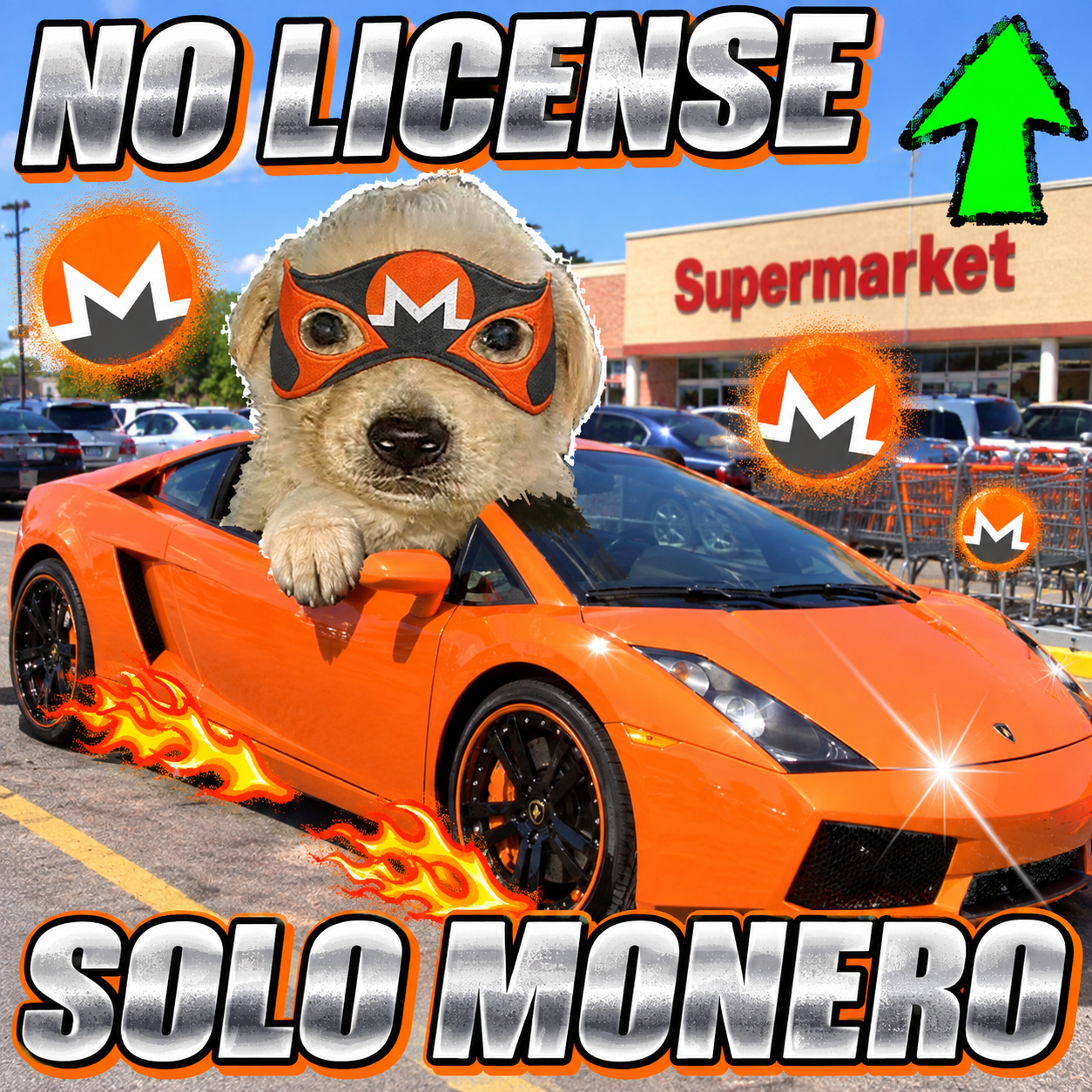 No license. Solo Monero. Perro driving an orange Lamborghini
